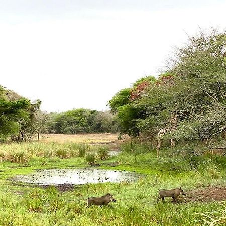 Hideaways Lazuli Bush Lodge, Hluhluwe Exterior photo