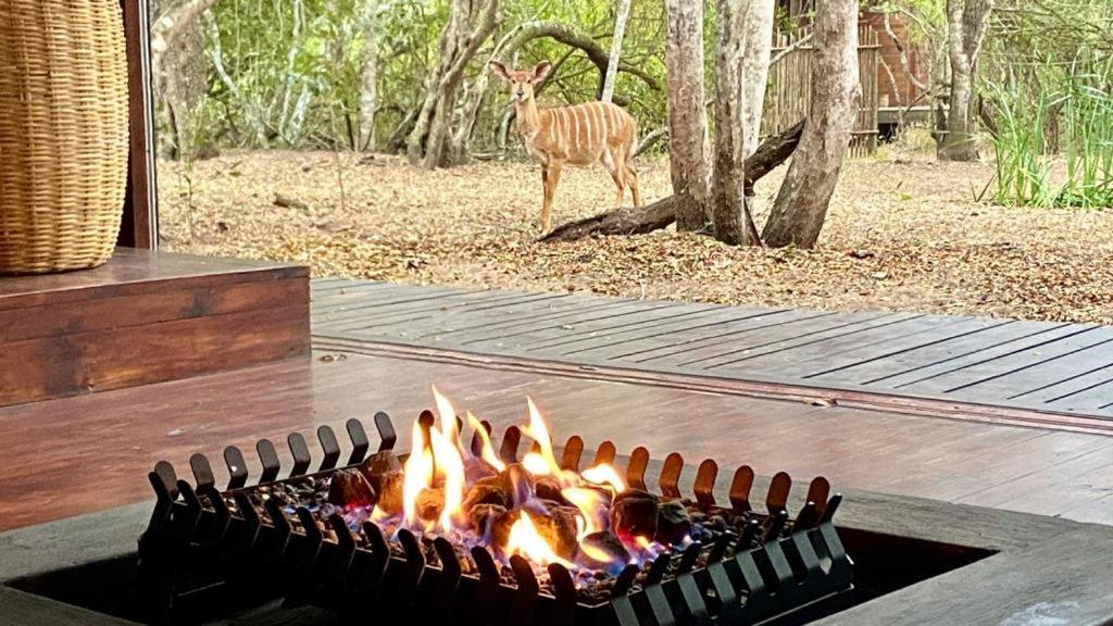 Hideaways Lazuli Bush Lodge, Hluhluwe Exterior photo