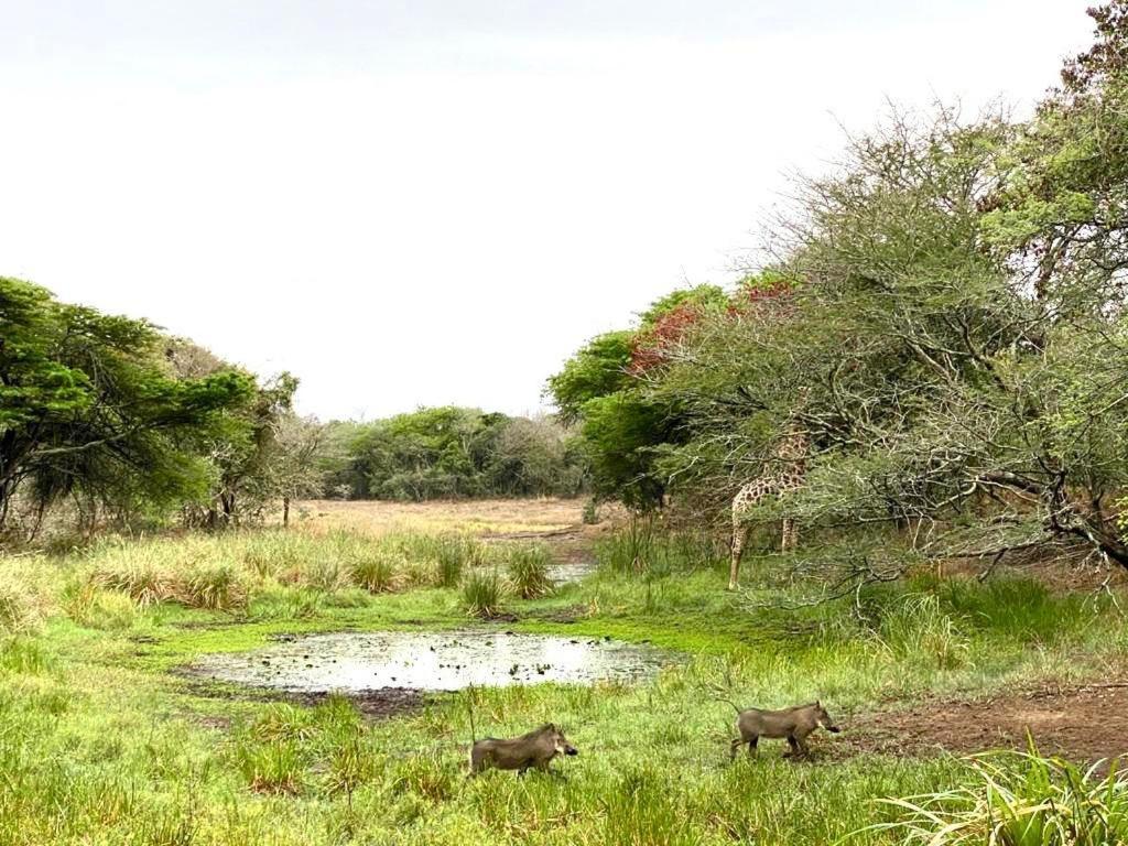 Hideaways Lazuli Bush Lodge, Hluhluwe Exterior photo