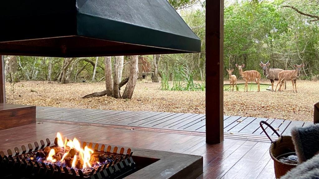 Hideaways Lazuli Bush Lodge, Hluhluwe Exterior photo